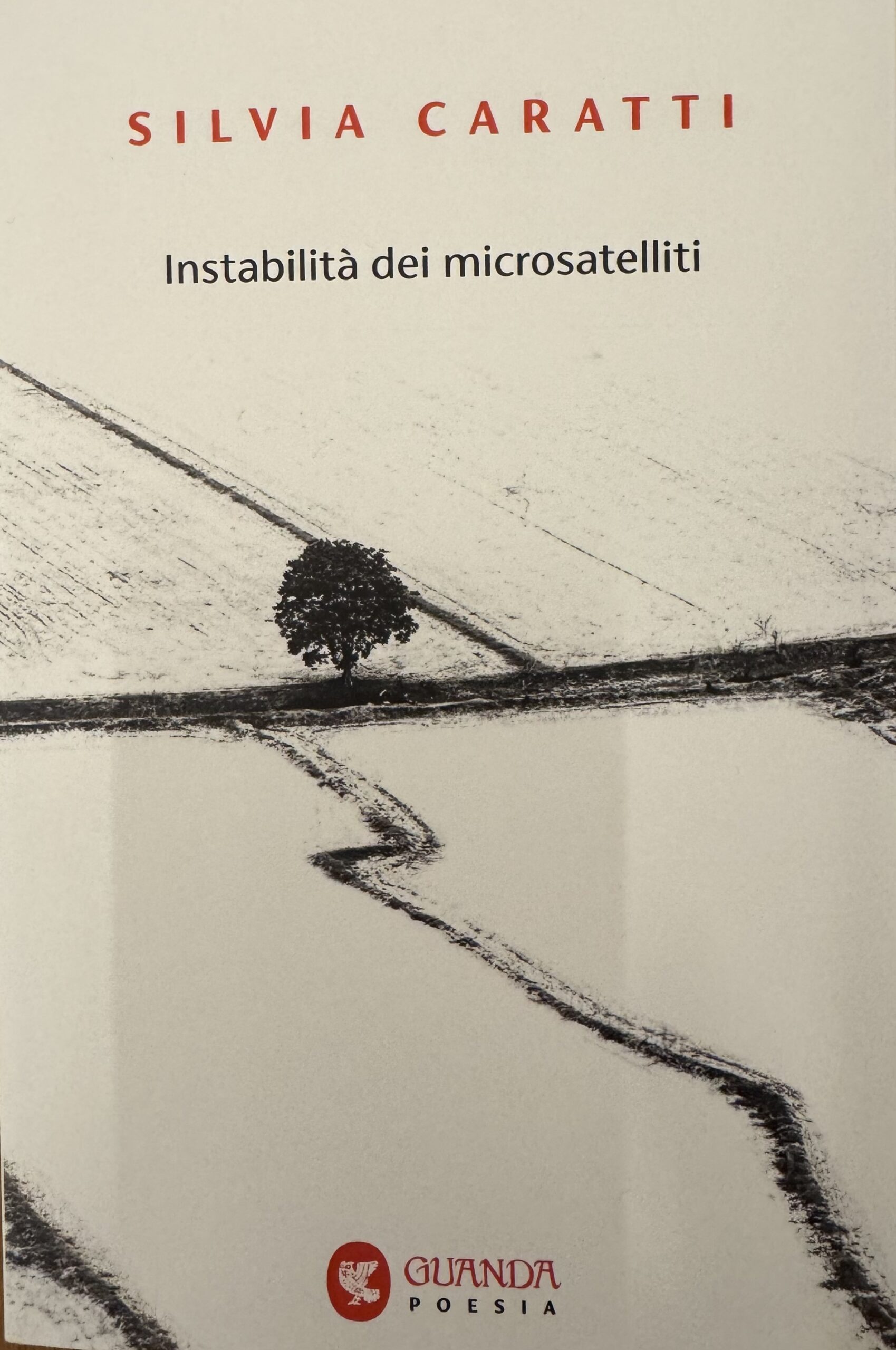 Presentazione del libro “Instabilità dei microsatelliti” di S. Caratti